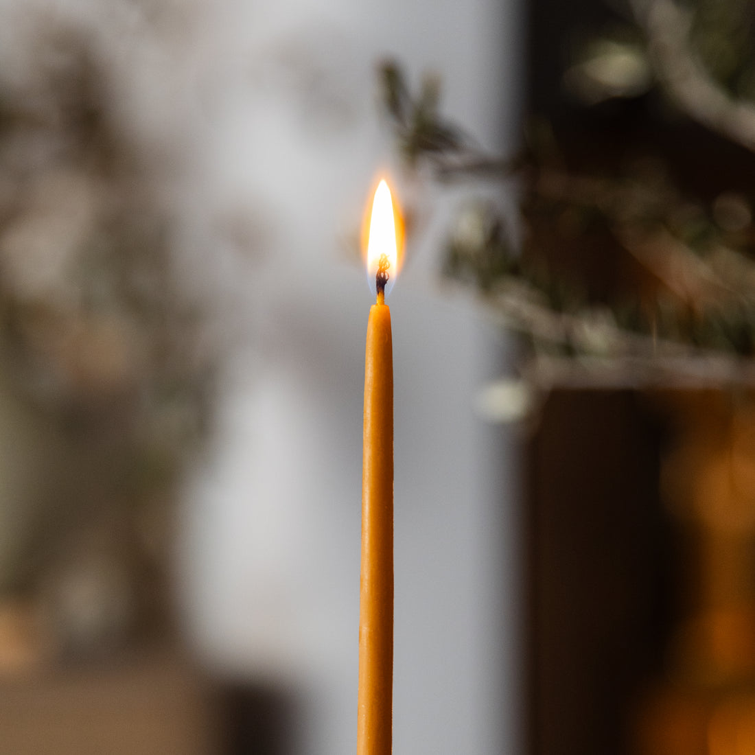 The Natural Stillness Set (Brass Candlestick + Set of 15 Thin Candles)