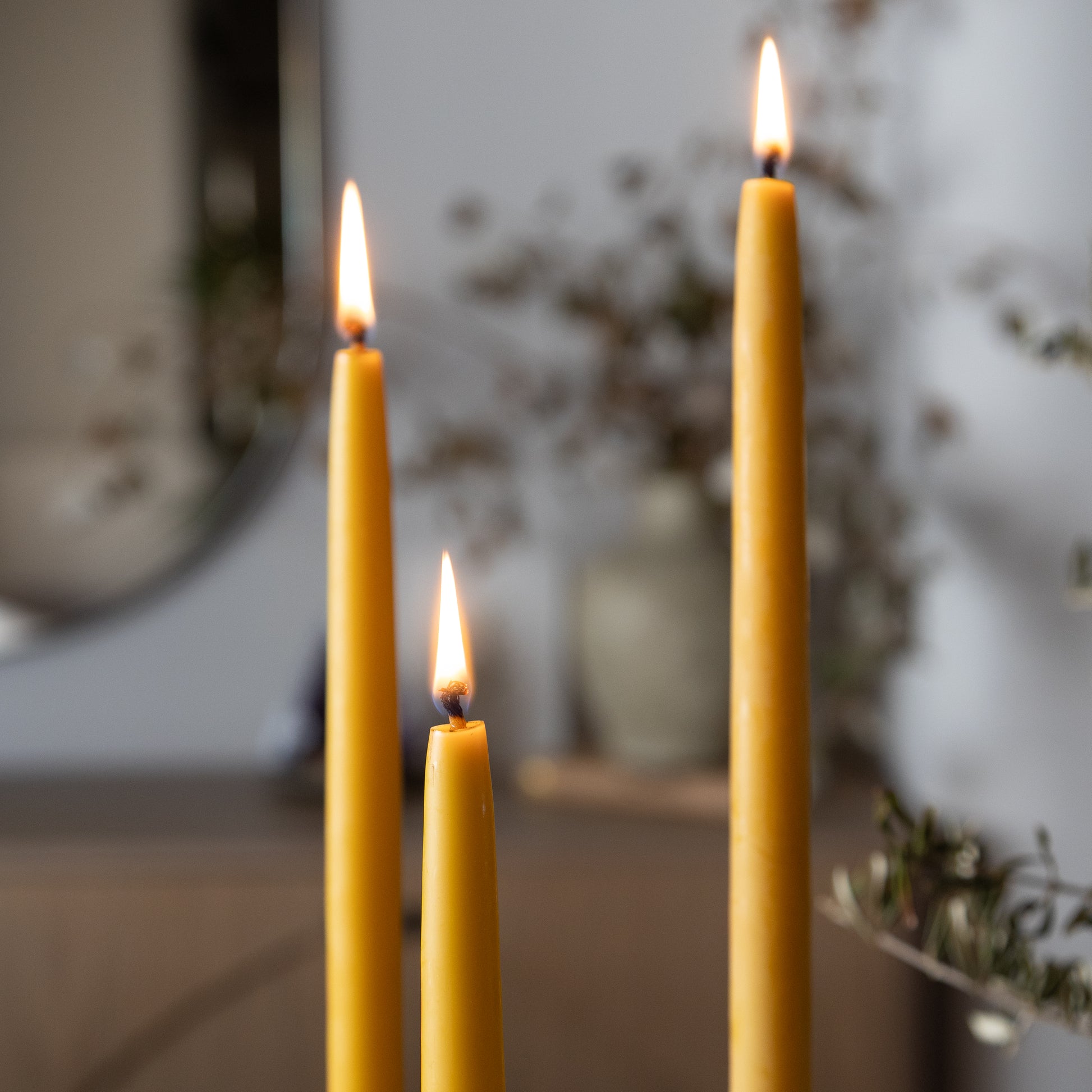 3 Melissa Taper Beeswax Candles burning