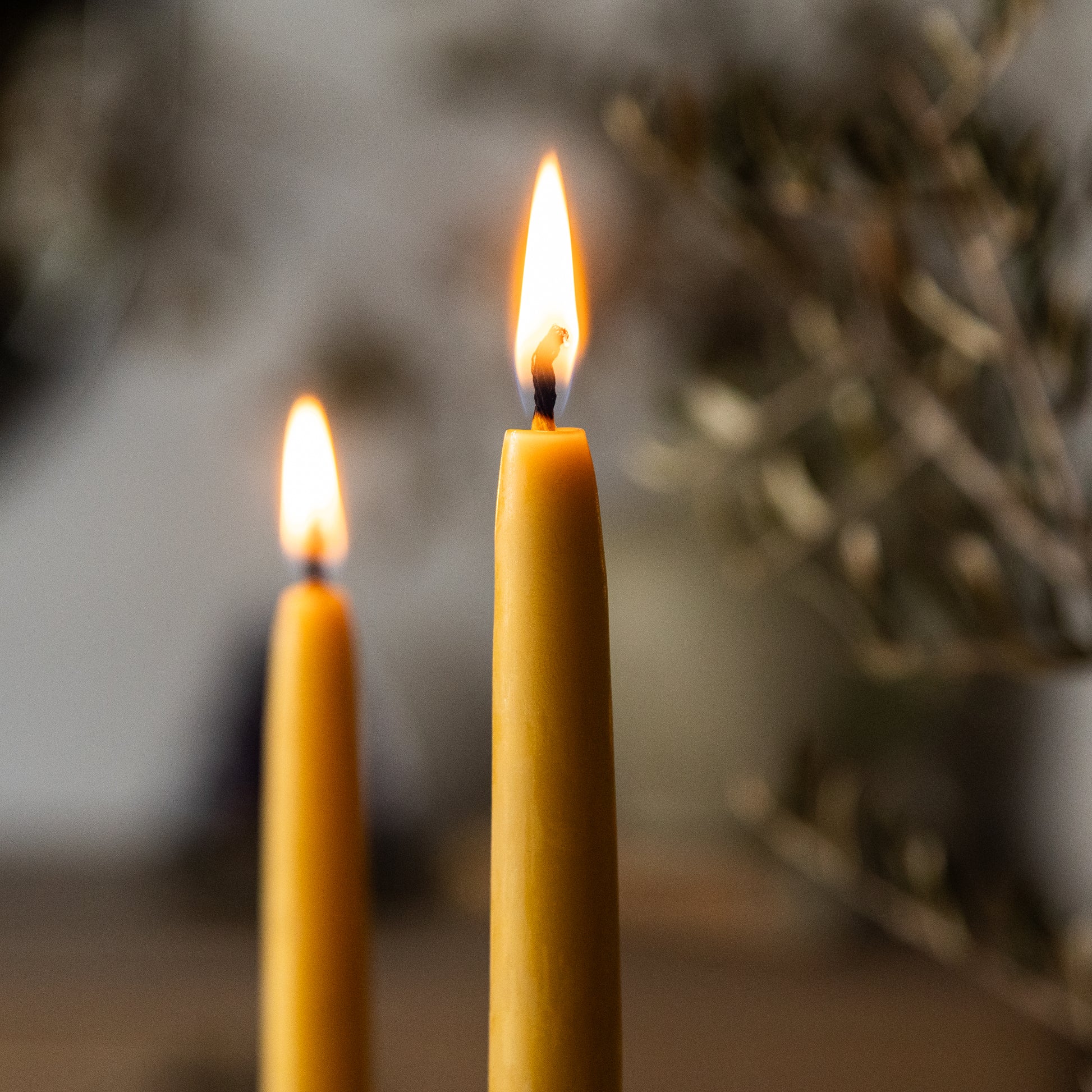 Melissa Taper Beeswax Candles light